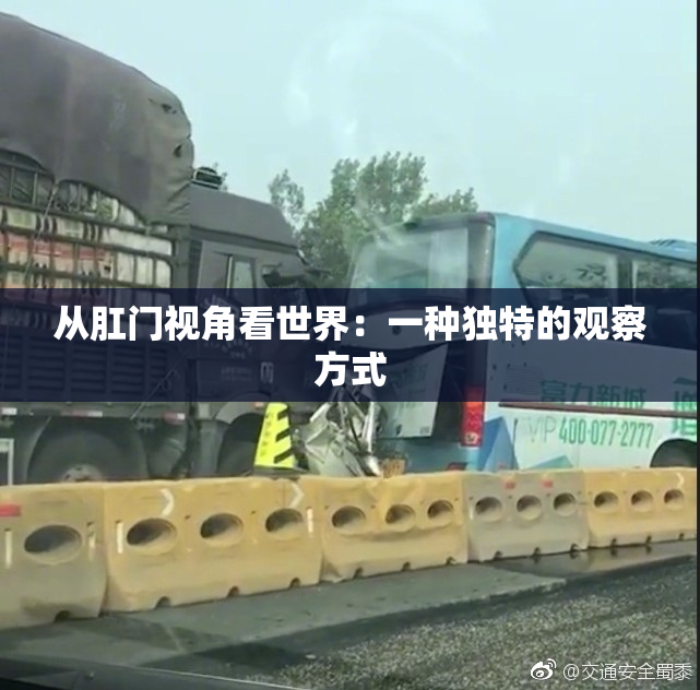 从肛门视角看世界：一种独特的观察方式