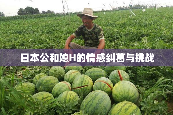 日本公和媳H的情感纠葛与挑战