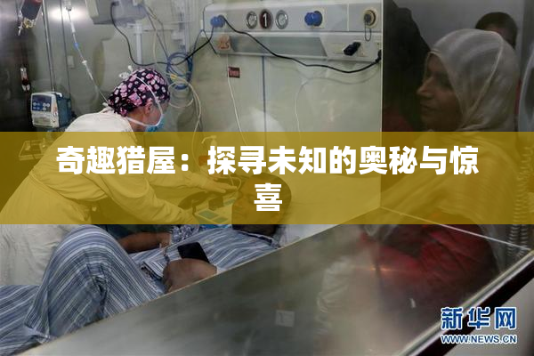 奇趣猎屋：探寻未知的奥秘与惊喜