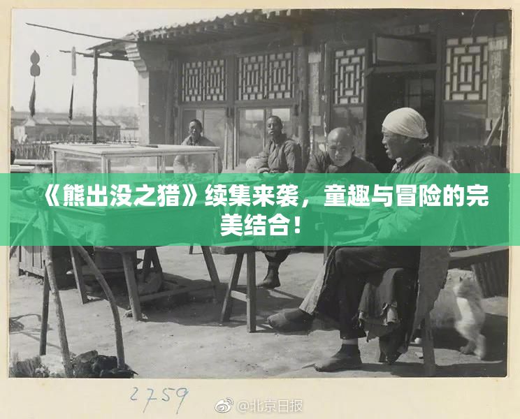 《熊出没之猎》续集来袭，童趣与冒险的完美结合！