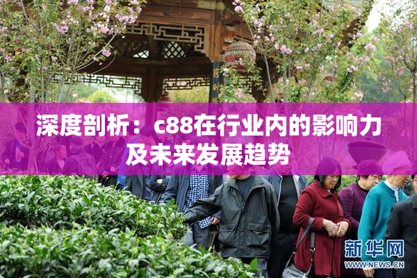 深度剖析：c88在行业内的影响力及未来发展趋势