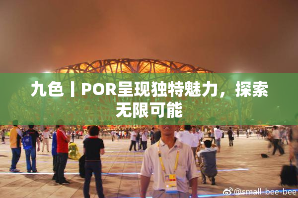 九色丨POR呈现独特魅力，探索无限可能