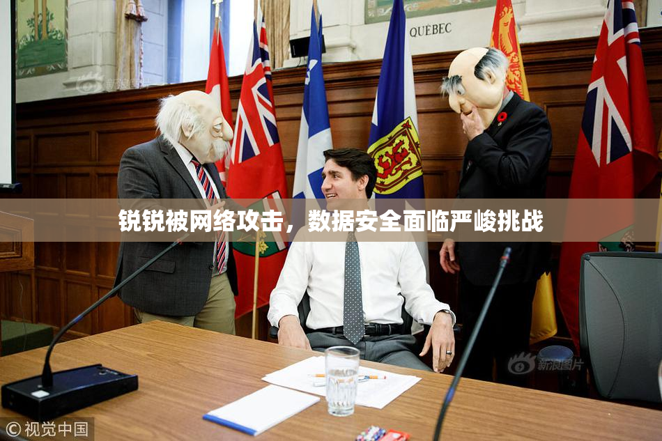 锐锐被网络攻击，数据安全面临严峻挑战