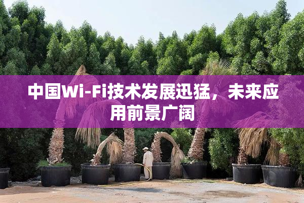 中国Wi-Fi技术发展迅猛，未来应用前景广阔