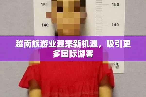 越南旅游业迎来新机遇，吸引更多国际游客