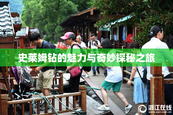 史莱姆钻的魅力与奇妙探秘之旅
