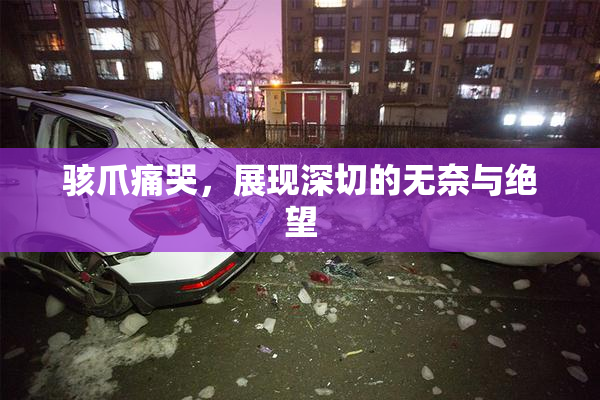 骇爪痛哭，展现深切的无奈与绝望