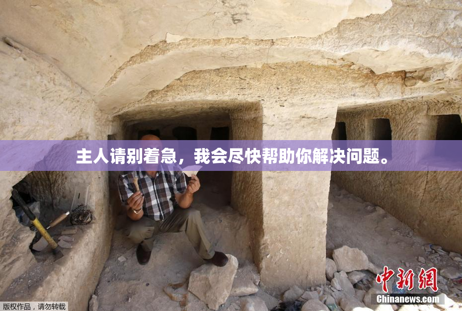 主人请别着急，我会尽快帮助你解决问题。