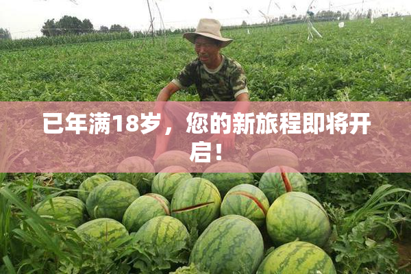 已年满18岁，您的新旅程即将开启！