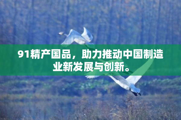 91精产国品，助力推动中国制造业新发展与创新。
