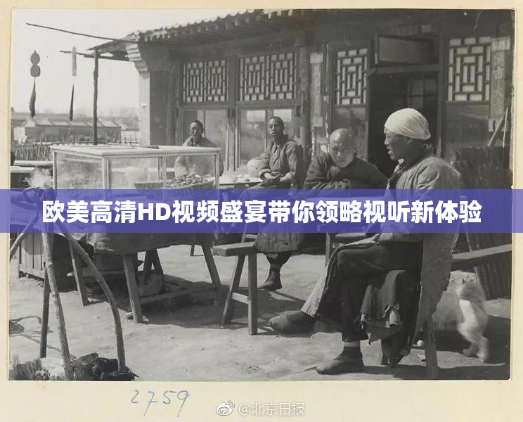 欧美高清HD视频盛宴带你领略视听新体验