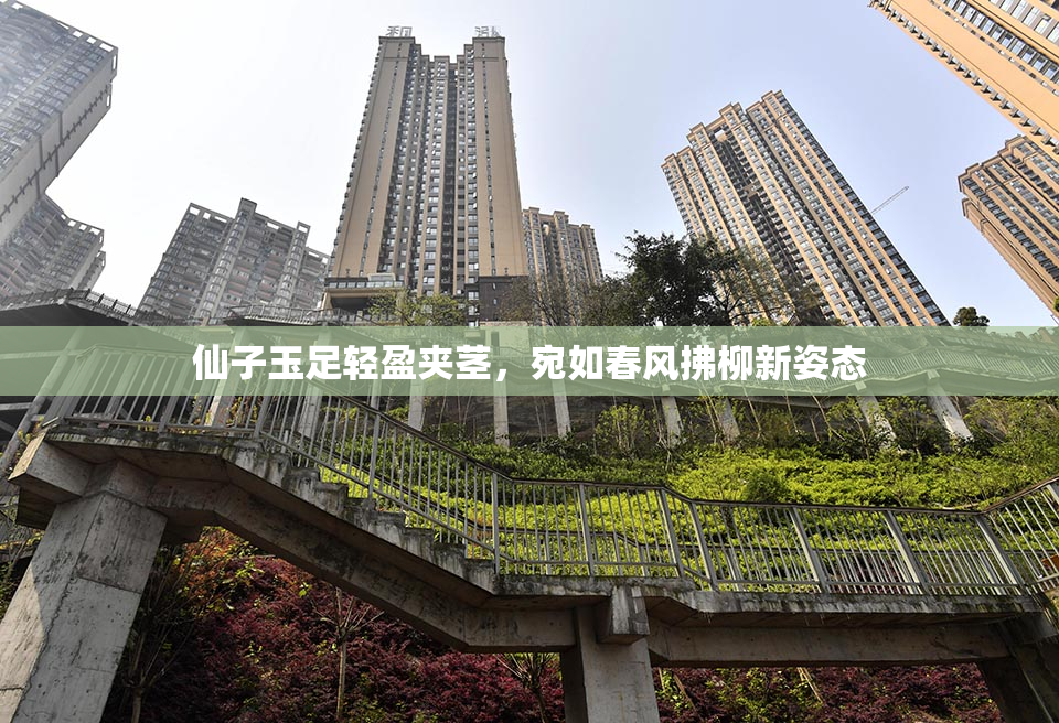 仙子玉足轻盈夹茎，宛如春风拂柳新姿态