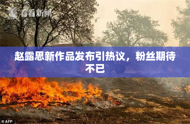 赵露思新作品发布引热议，粉丝期待不已