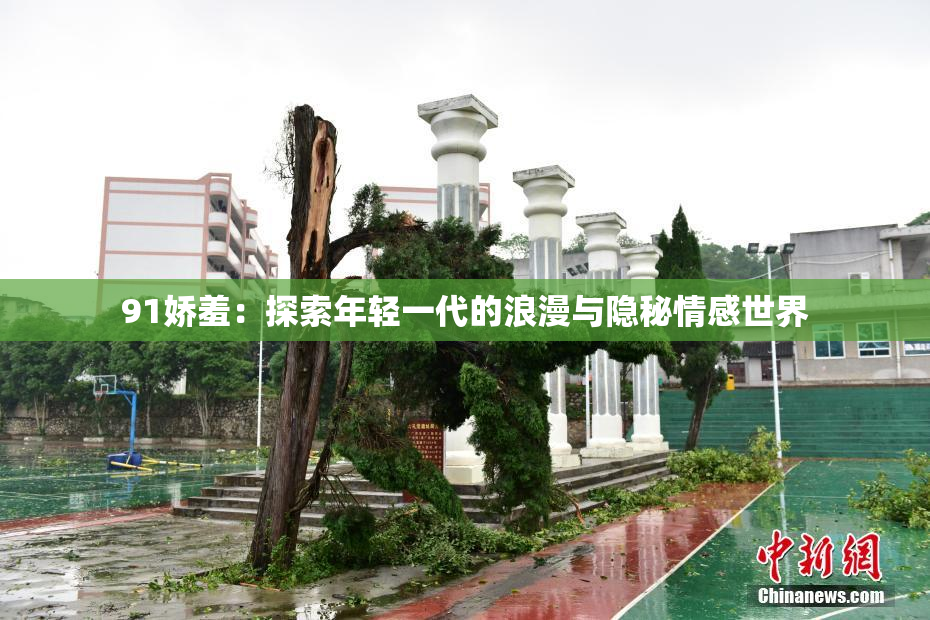 91娇羞：探索年轻一代的浪漫与隐秘情感世界