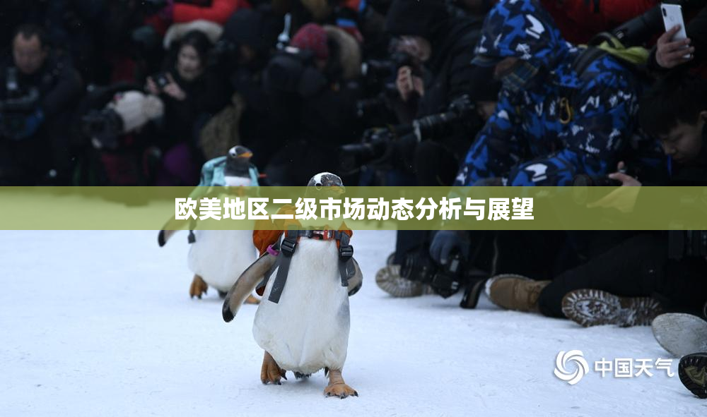 欧美地区二级市场动态分析与展望