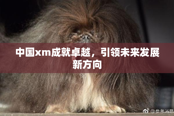中国xm成就卓越，引领未来发展新方向