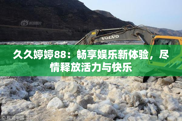 久久婷婷88：畅享娱乐新体验，尽情释放活力与快乐