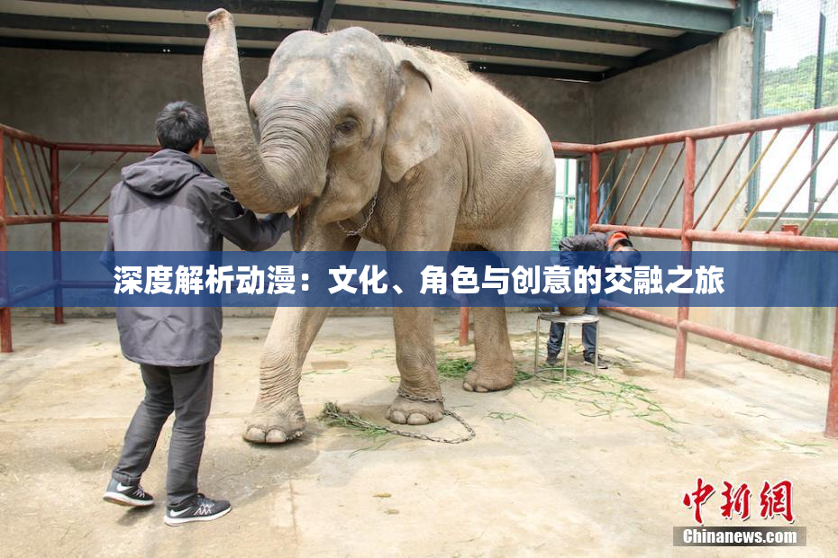 深度解析动漫：文化、角色与创意的交融之旅