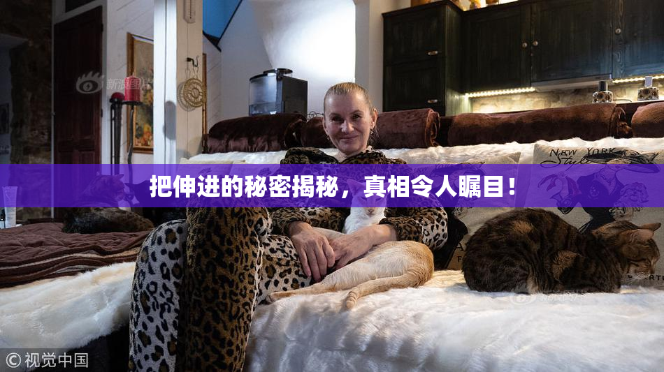 把伸进的秘密揭秘，真相令人瞩目！