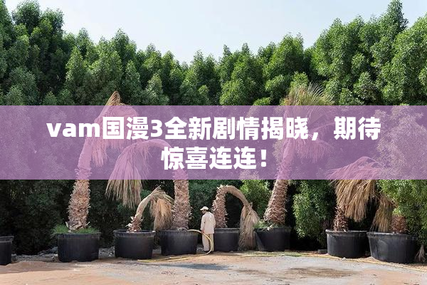 vam国漫3全新剧情揭晓，期待惊喜连连！