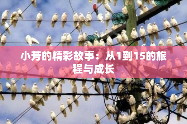 小芳的精彩故事：从1到15的旅程与成长