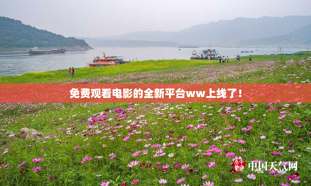 免费观看电影的全新平台ww上线了！