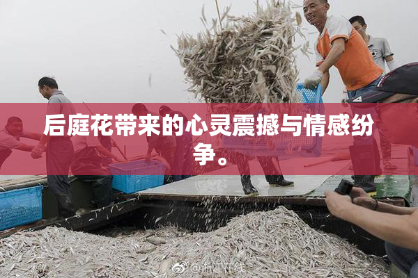 后庭花带来的心灵震撼与情感纷争。