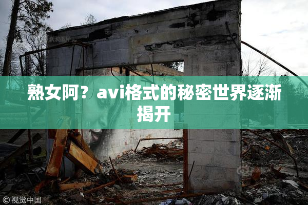 熟女阿？avi格式的秘密世界逐渐揭开