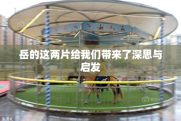岳的这两片给我们带来了深思与启发