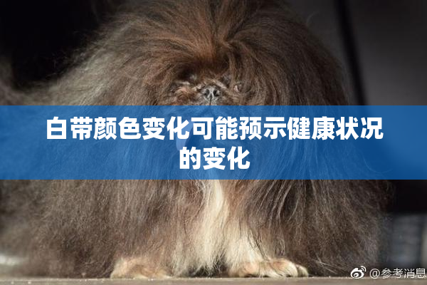 白带颜色变化可能预示健康状况的变化