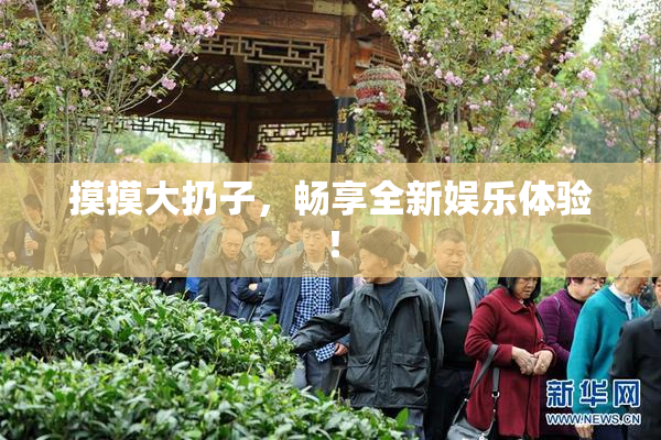 摸摸大扔子，畅享全新娱乐体验！