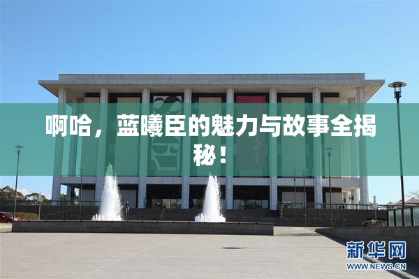 啊哈，蓝曦臣的魅力与故事全揭秘！