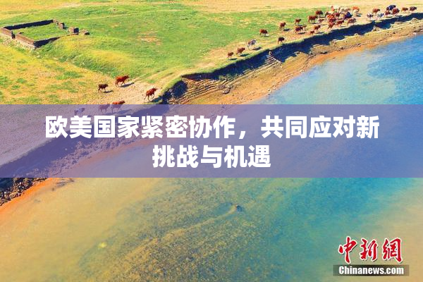 欧美国家紧密协作，共同应对新挑战与机遇