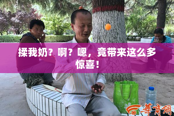 揉我奶？啊？嗯，竟带来这么多惊喜！