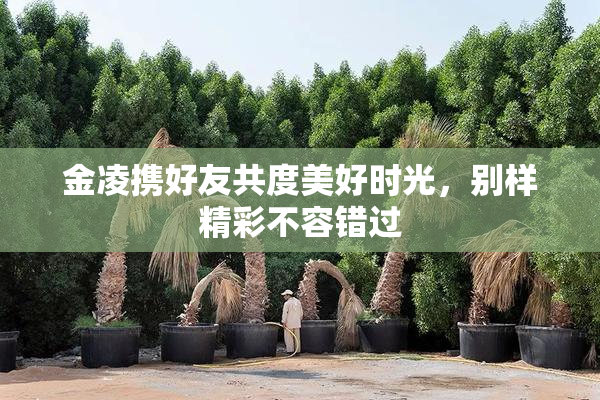 金凌携好友共度美好时光，别样精彩不容错过