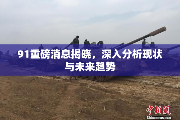 91重磅消息揭晓，深入分析现状与未来趋势