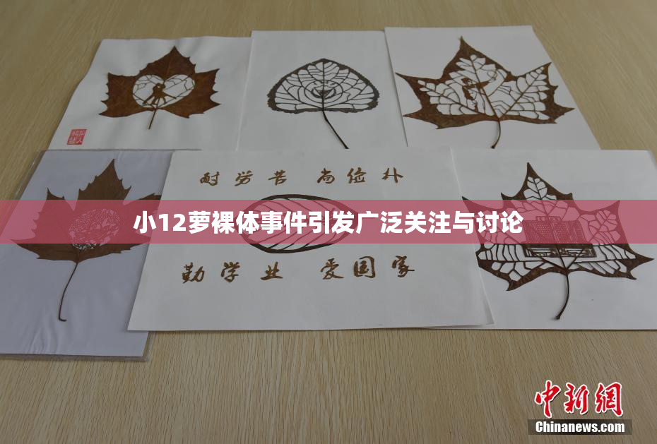 小12萝裸体事件引发广泛关注与讨论