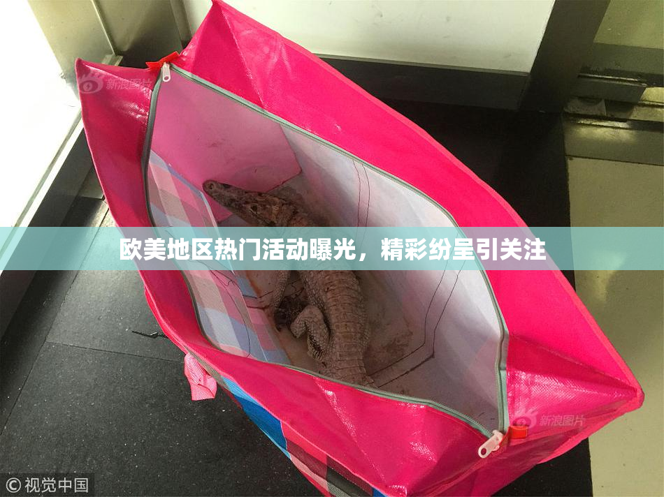 欧美地区热门活动曝光，精彩纷呈引关注