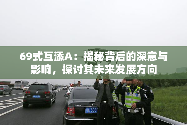 69式互添A：揭秘背后的深意与影响，探讨其未来发展方向