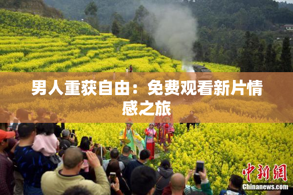 男人重获自由：免费观看新片情感之旅