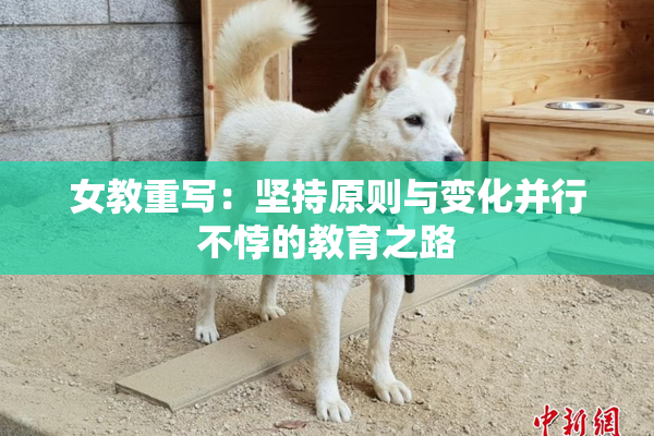 女教重写：坚持原则与变化并行不悖的教育之路