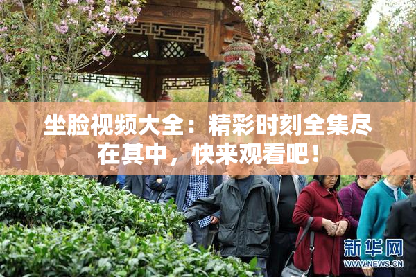 坐脸视频大全：精彩时刻全集尽在其中，快来观看吧！
