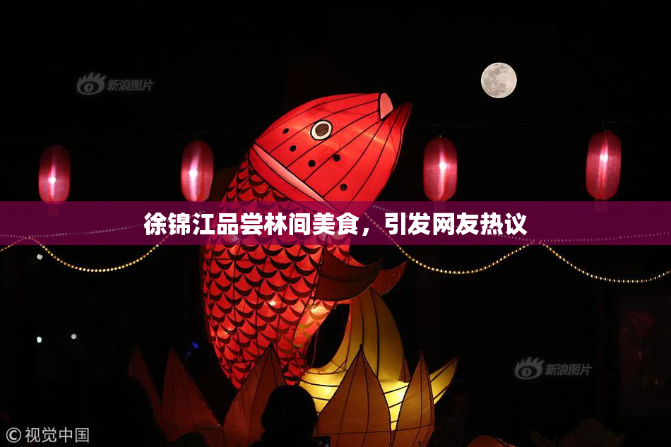 徐锦江品尝林间美食，引发网友热议