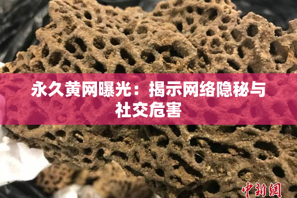 永久黄网曝光：揭示网络隐秘与社交危害