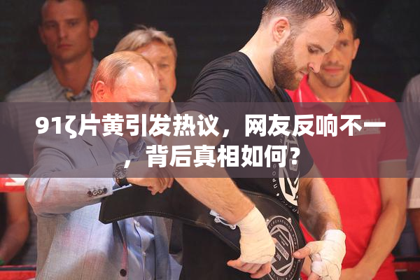 91ζ片黄引发热议，网友反响不一，背后真相如何？