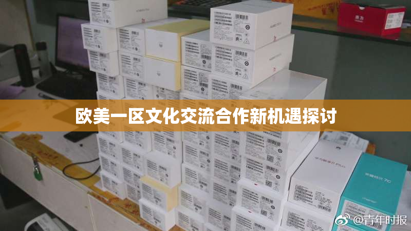 欧美一区文化交流合作新机遇探讨