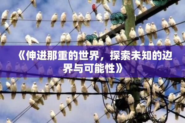 《伸进那重的世界，探索未知的边界与可能性》