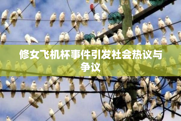 修女飞机杯事件引发社会热议与争议