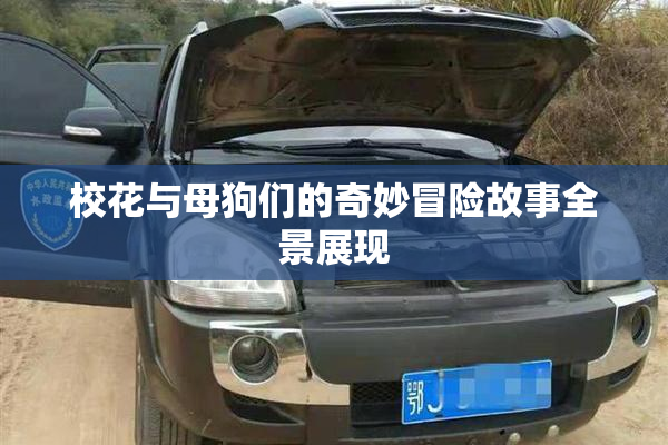 校花与母狗们的奇妙冒险故事全景展现