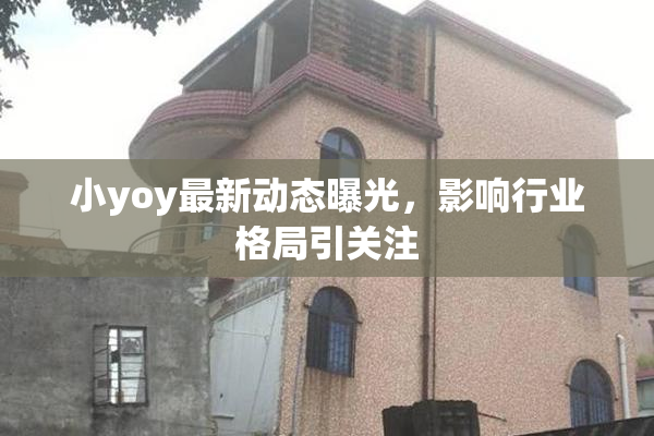 小yoy最新动态曝光，影响行业格局引关注